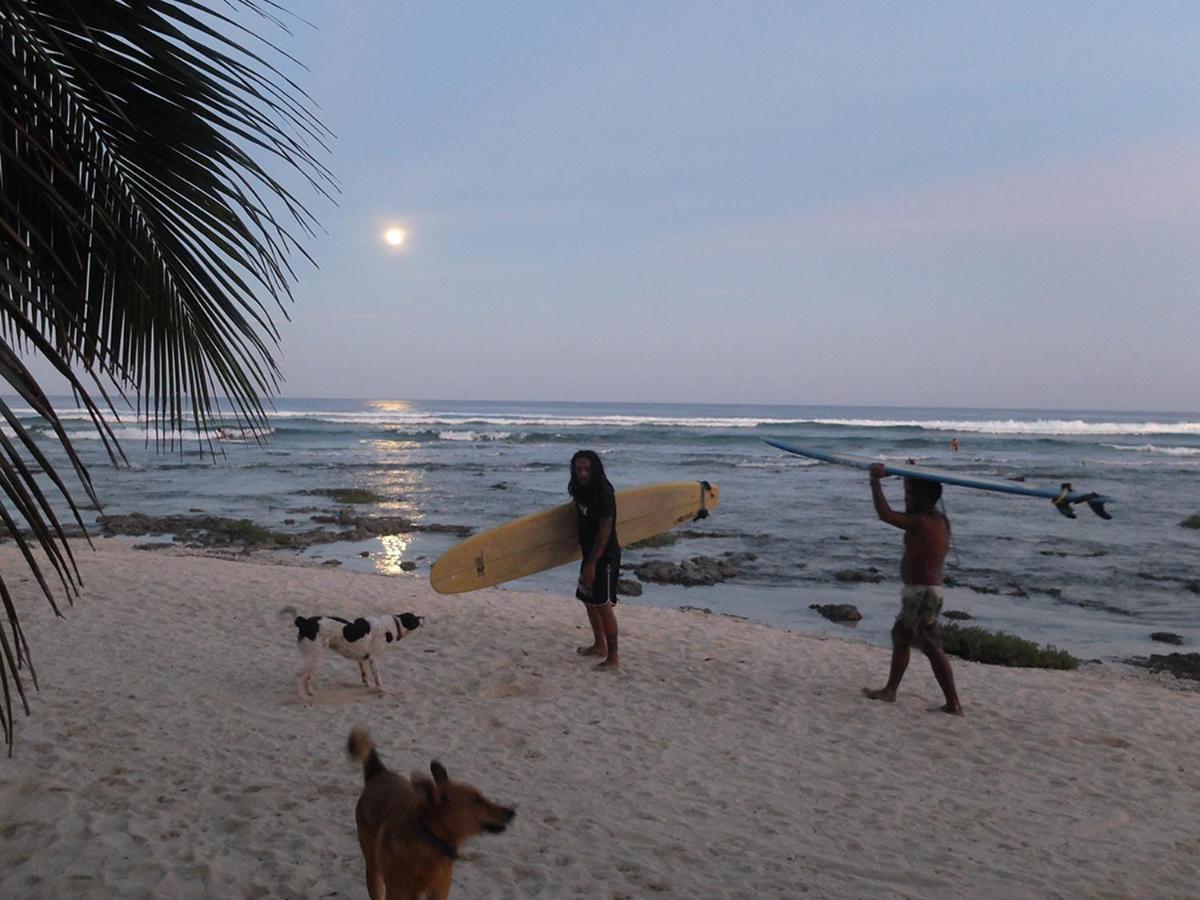 L'Osteria Luxe Beachfront B&B ゼネラル・ルナ エクステリア 写真